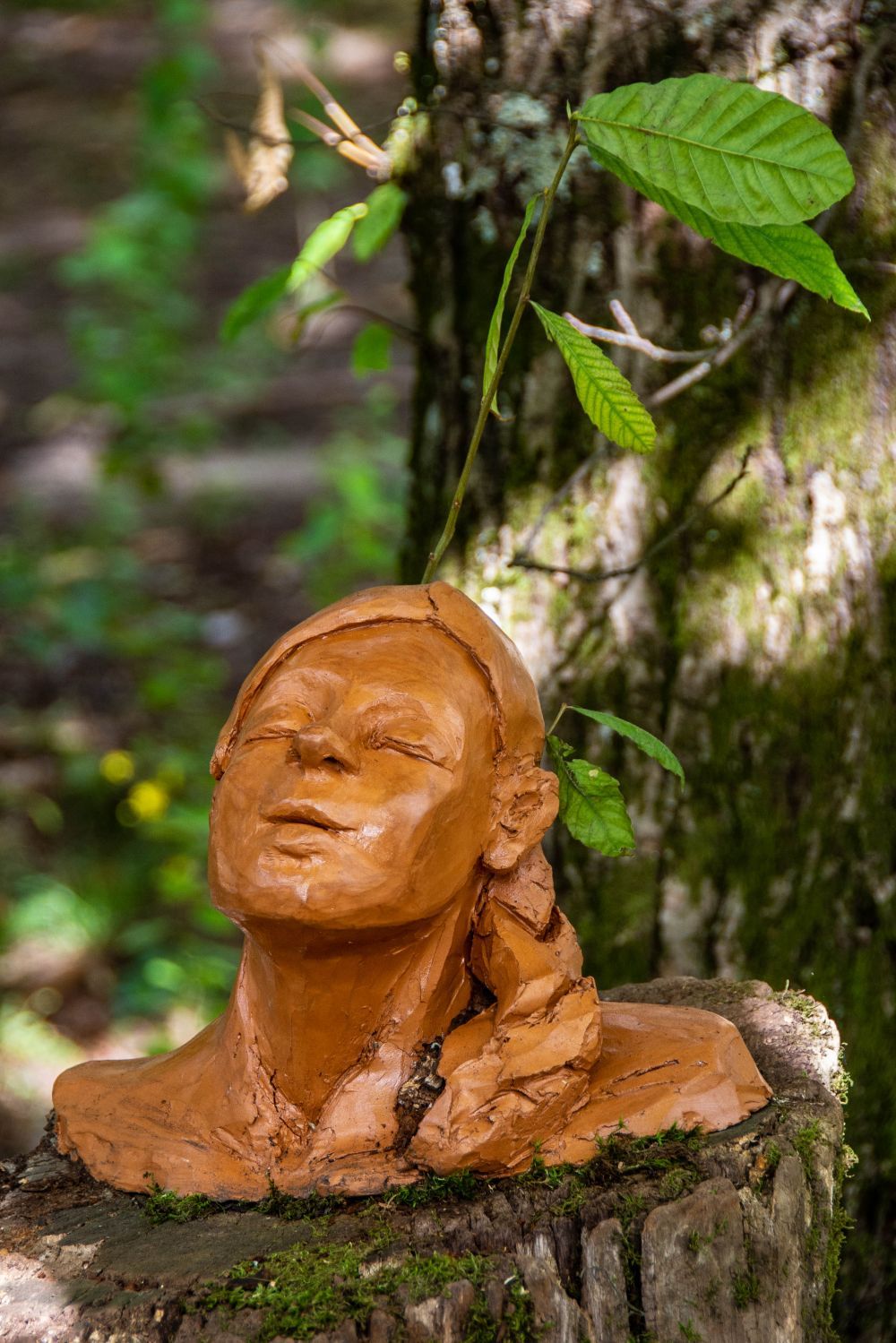 L&rsquo;opera raffigura una donna in tale simbiosi con la natura da venire attraversata da essa ed essere a sua volta terreno fertile per nuovi germogli.